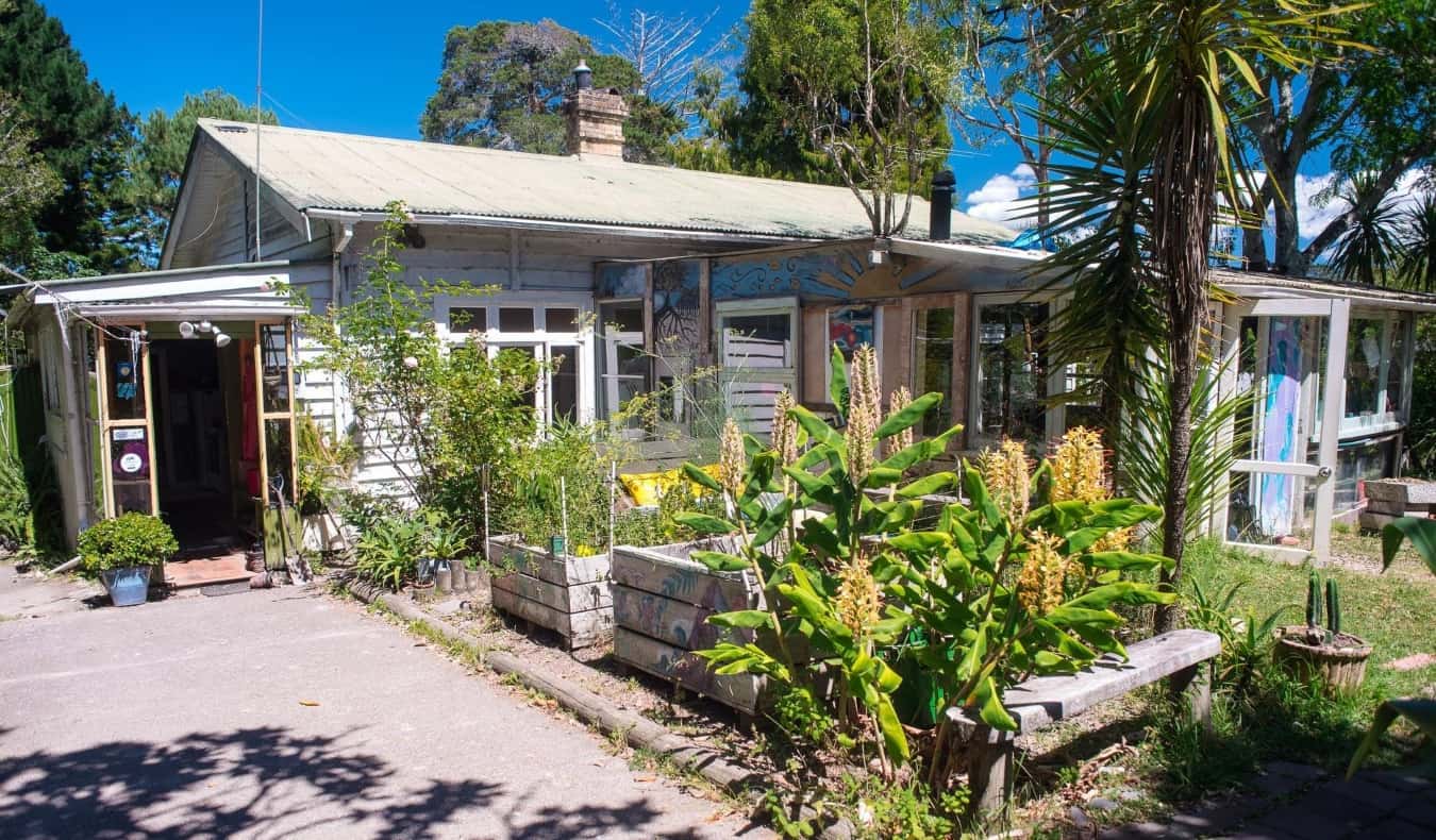 An old farmhouse with a huge garden growing in front at Fat Cat Travellers Community hostel in Auckland, New Zealand